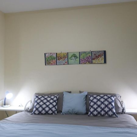 Apartamento San Carlos Sonzacate Экстерьер фото